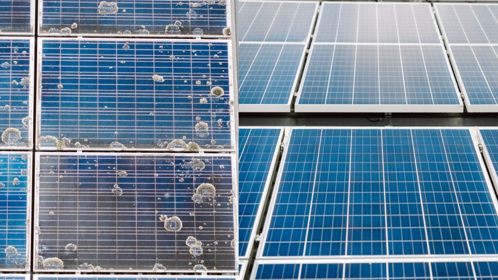 Common Mistakes to Avoid When Cleaning Solar Panels