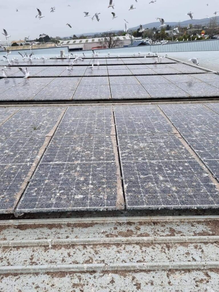 Solar panels covered in bird droppings.