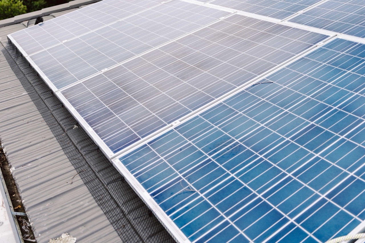 Stop Pigeons getting under your solar panels