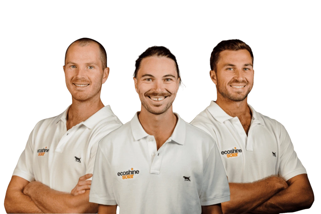 The Ecoshine Solar Panel Cleaning and Maintenance Brothers 1024x683 1