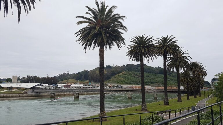 Gisborne