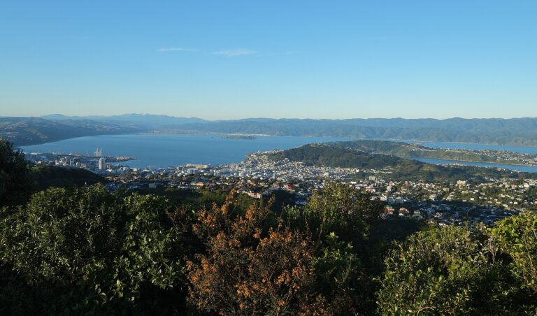 Wellington