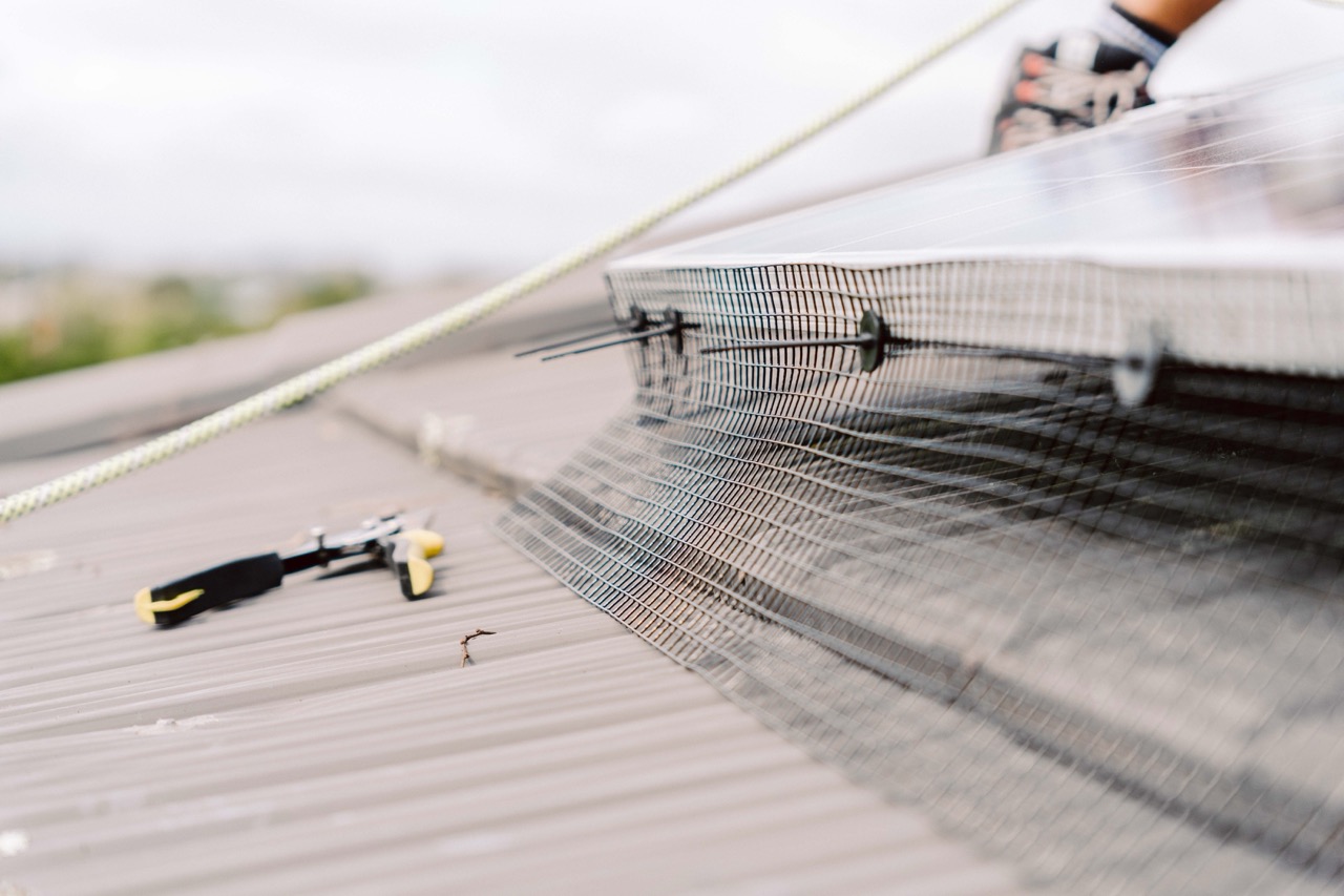 Bird guard mesh installed around solar panels by Eco Shine Solar
