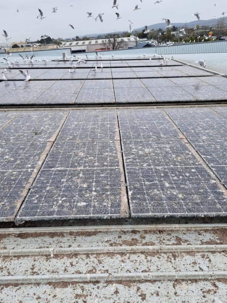 Solar panels covered in bird droppings