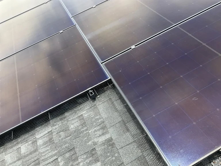 Stainless bird proofing mesh fitted around solar panels on an Auckland roof