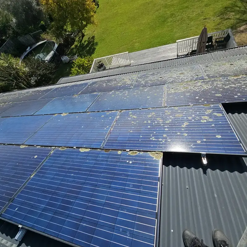 Solar panels in Havelock North before cleaning: lichen and bird mess across the array