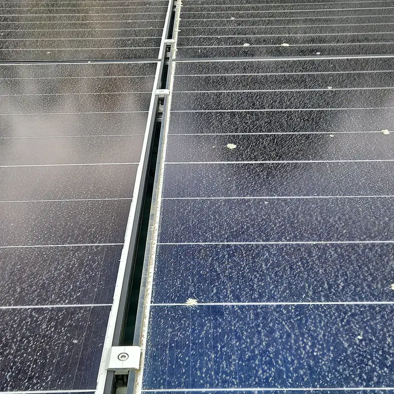 Solar panels in Hillcrest, Auckland before cleaning: dust and grime across the glass