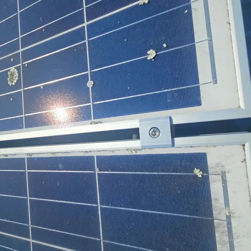 Solar panels in Akina before cleaning: lichen spots dotted across the cells