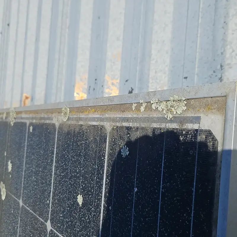 Solar panels in Te Awamutu before cleaning: lichen growing along the panel edges