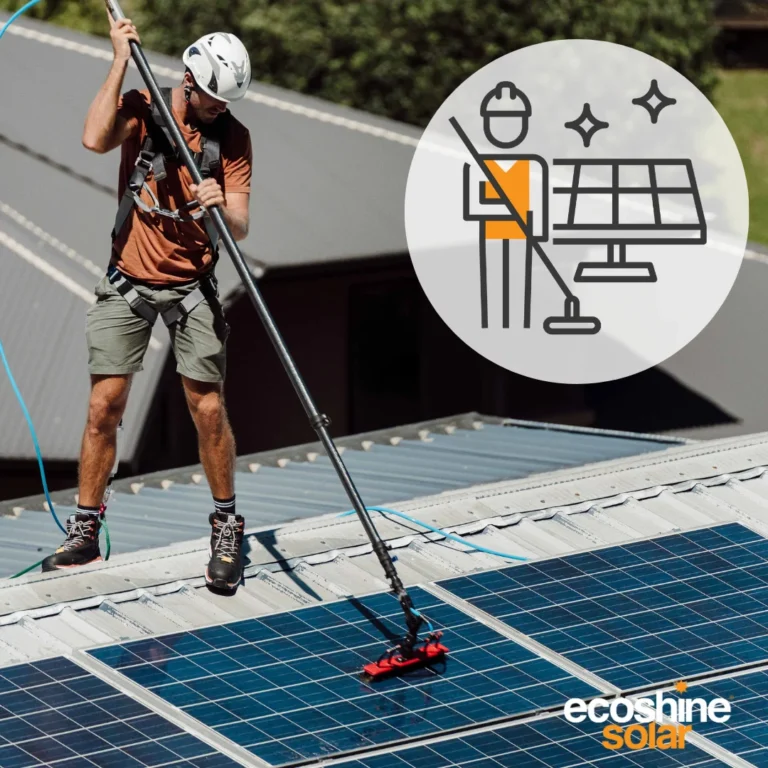 Solar Panel Cleaning